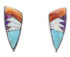 Multicolor Inlay Jewelry Sterling Silver Post Earrings BW69001